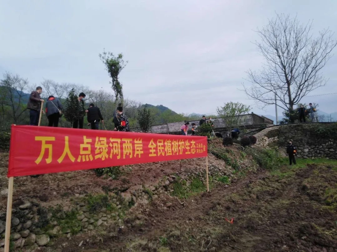 植树护绿,生态保护,种树植绿和"有奖竞答"河长制知识等宣传实践活动