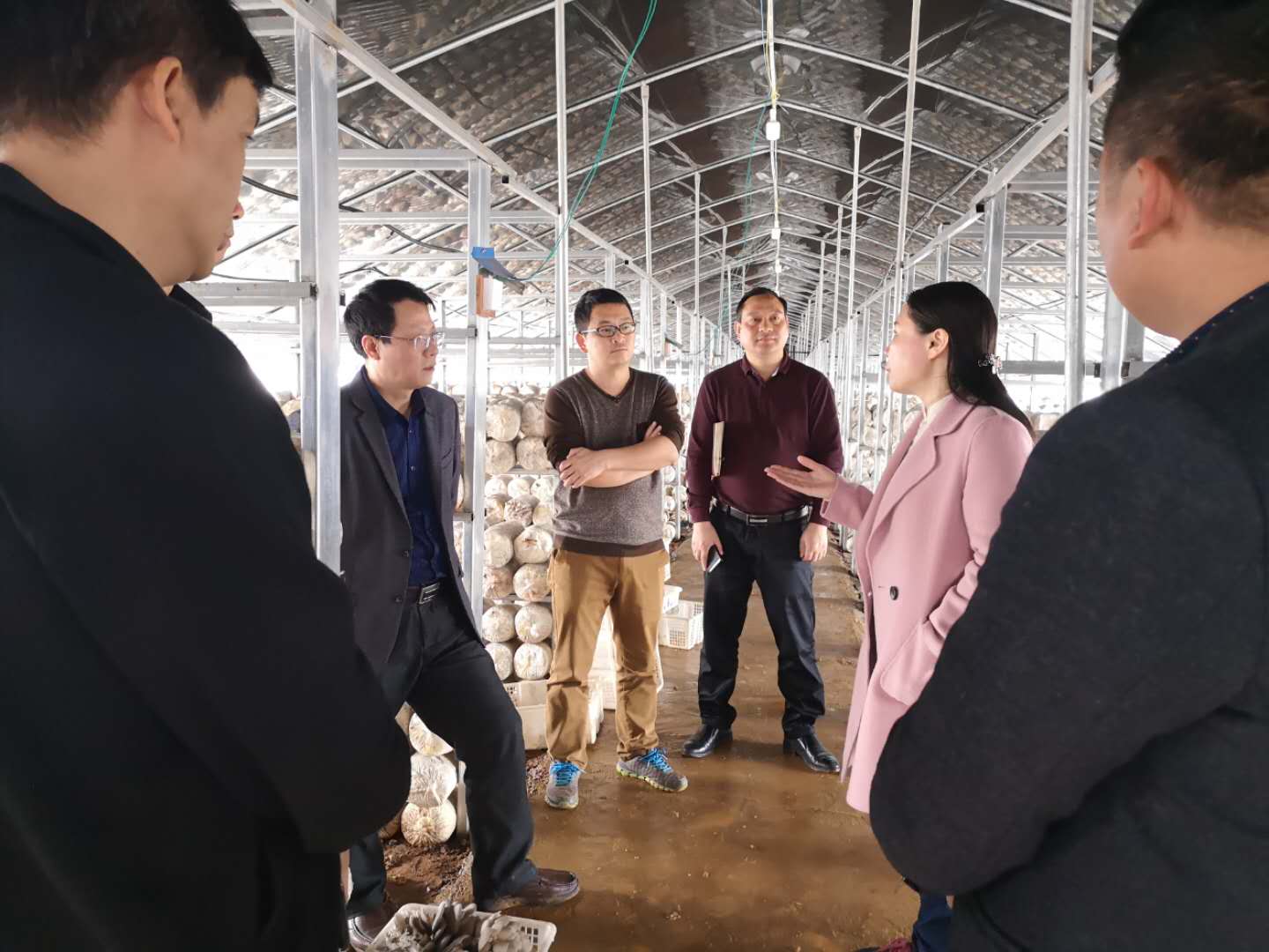 工作动态调研中,王小丽指出,产业扶贫是帮助贫困户脱