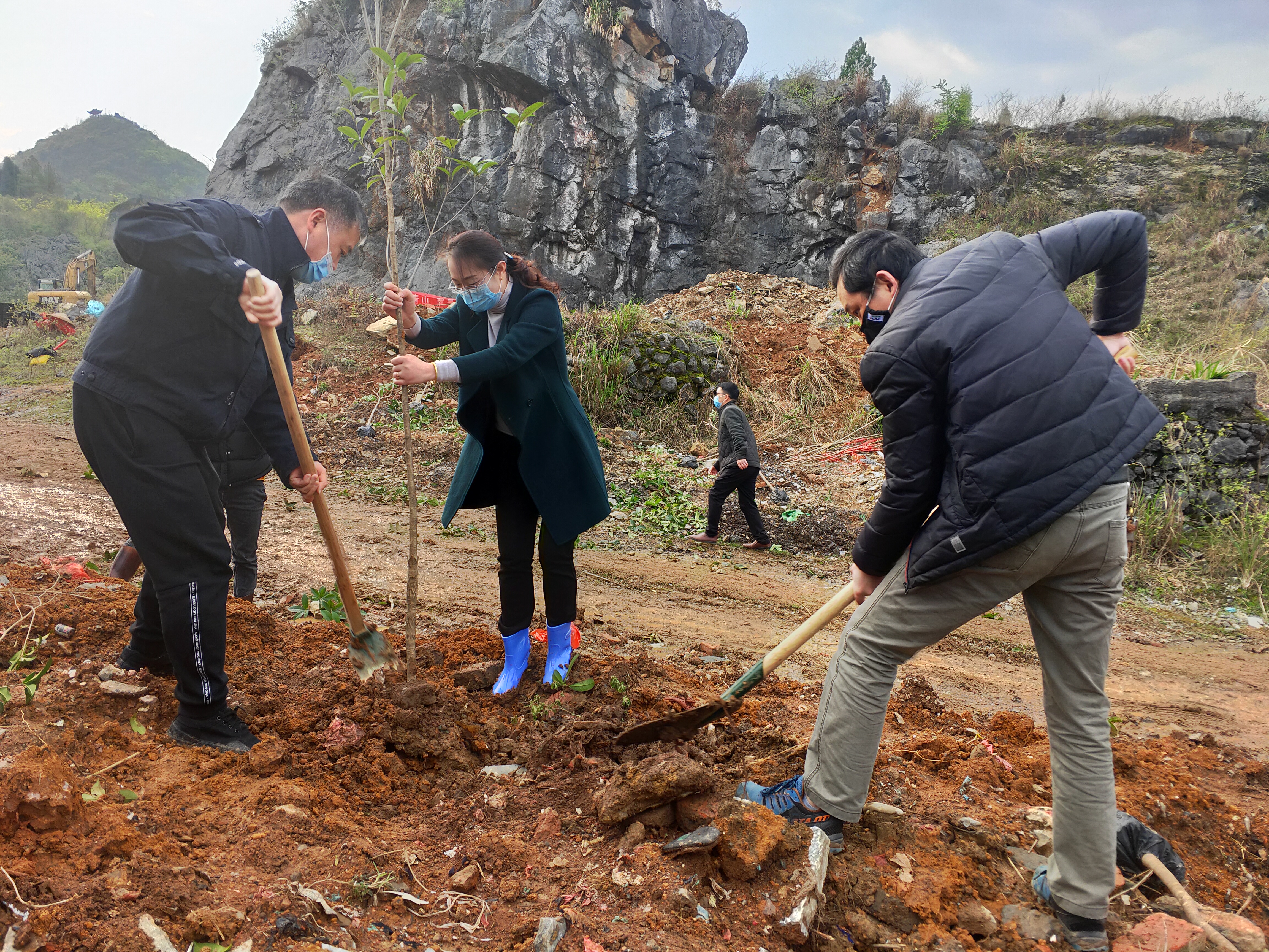 2020年财政局志愿者义务植树活动